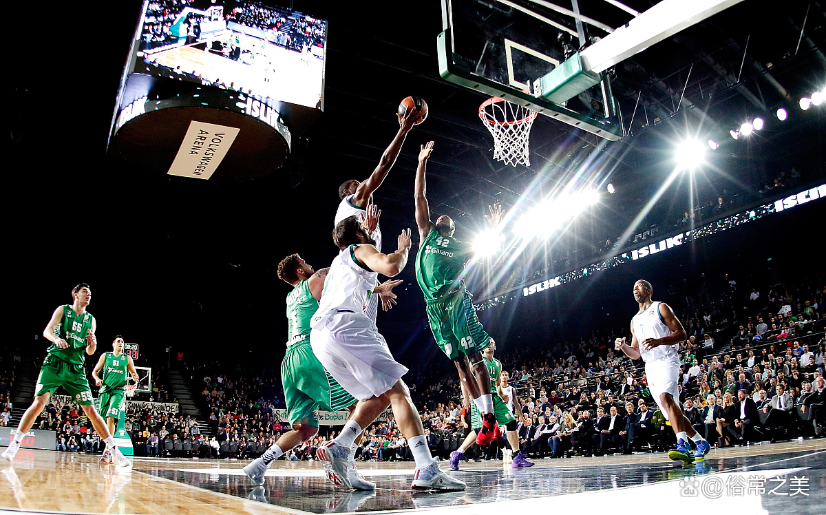 开云官网体育-勇士逆转击败国王，取得系列赛领先优势