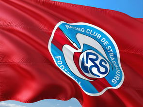 开云体育网站官方入口-帕尔梅拉斯技战术演练密集，冲刺冠军全力以赴